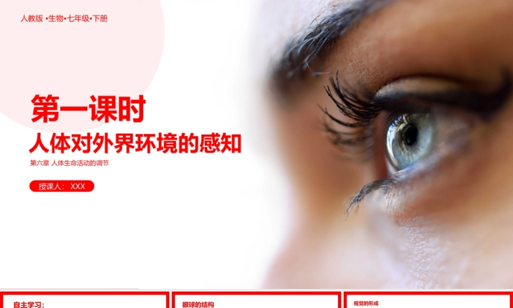 人教版生物七年级下册《人体生命活动的跳节-人体对外界环境的感知》PPT课件（带内容）.pptx