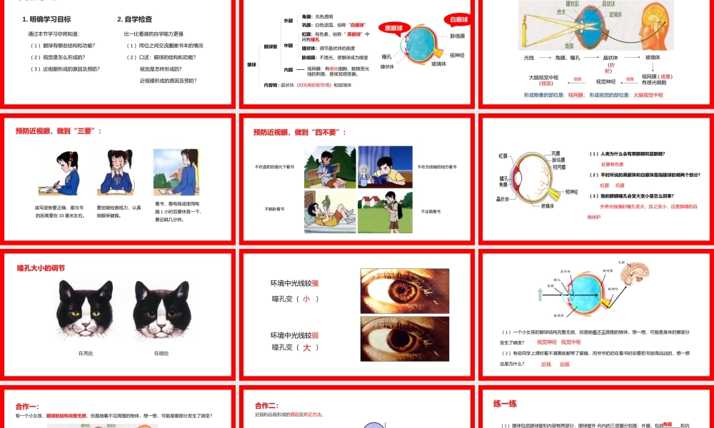 人教版生物七年级下册《人体生命活动的跳节-人体对外界环境的感知》PPT课件（带内容）.pptx