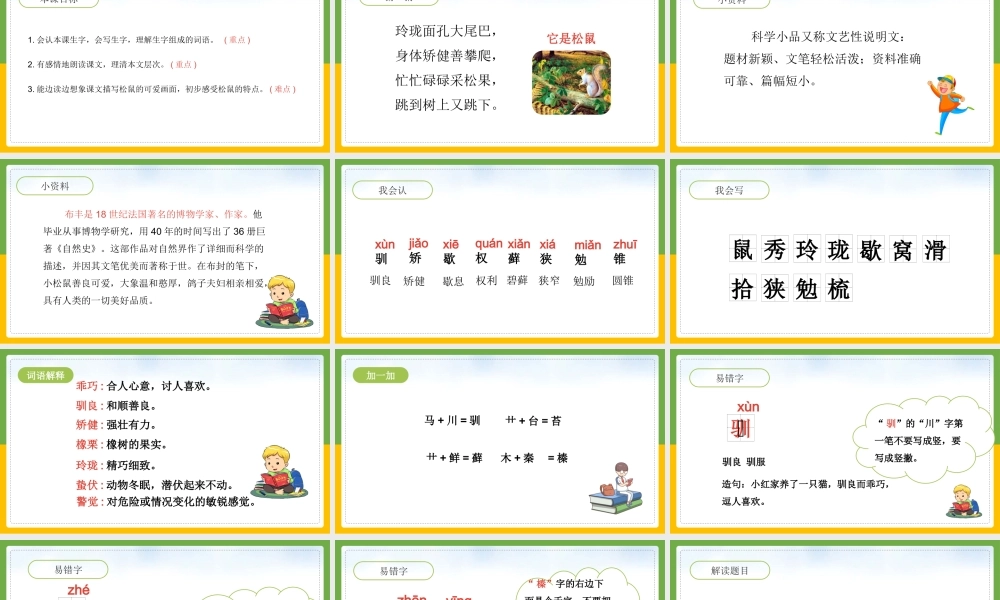 统编版语文五年级上册《松鼠》PPT课件（带内容）.pptx