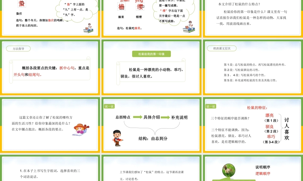 统编版语文五年级上册《松鼠》PPT课件（带内容）.pptx