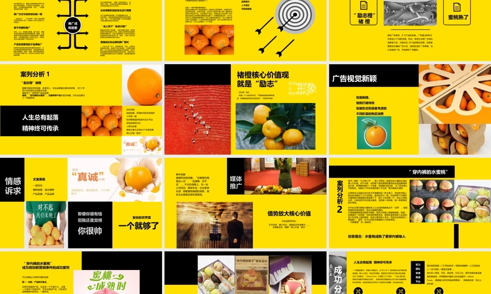 对农业品牌广告的思考浅谈农产品品牌推广PPT宣传课件（带内容）.pptx