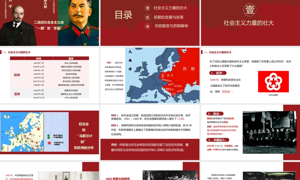 九年级历史下册社会主义的发展与挫折PPT课件讲义（带内容）.pptx