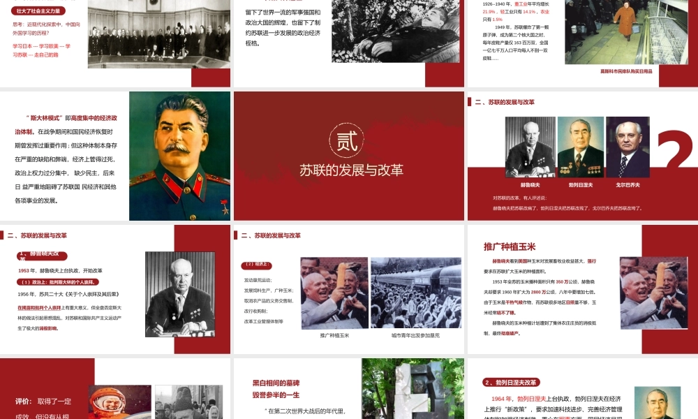 九年级历史下册社会主义的发展与挫折PPT课件讲义（带内容）.pptx