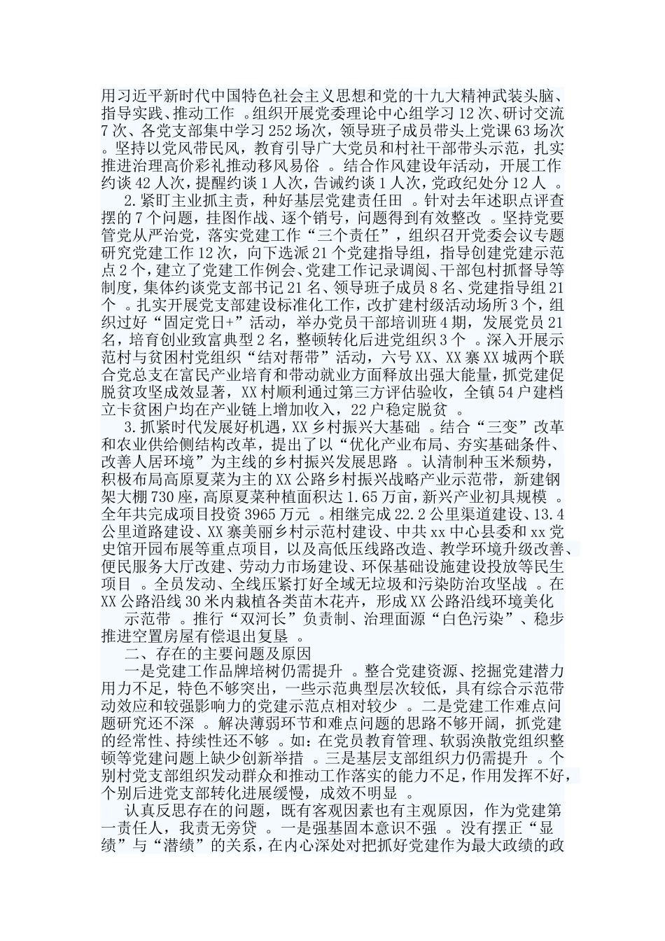 综合2篇2019党建工作述职报告.doc_第3页