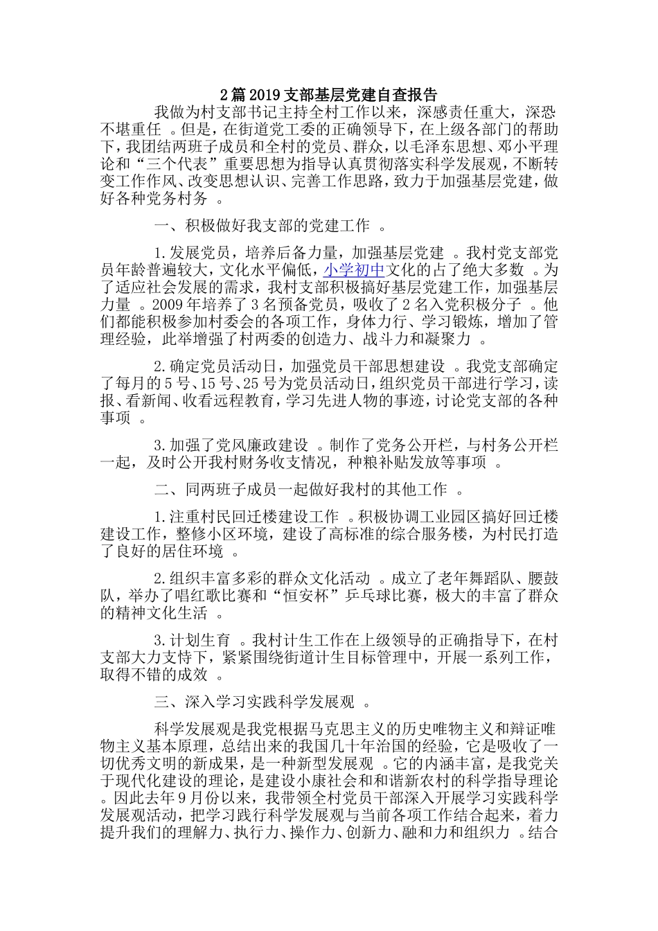 综合2篇2019支部基层党建自查报告.doc_第1页