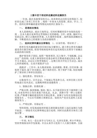 综合2篇中层干部述职述廉述职述廉报告.doc