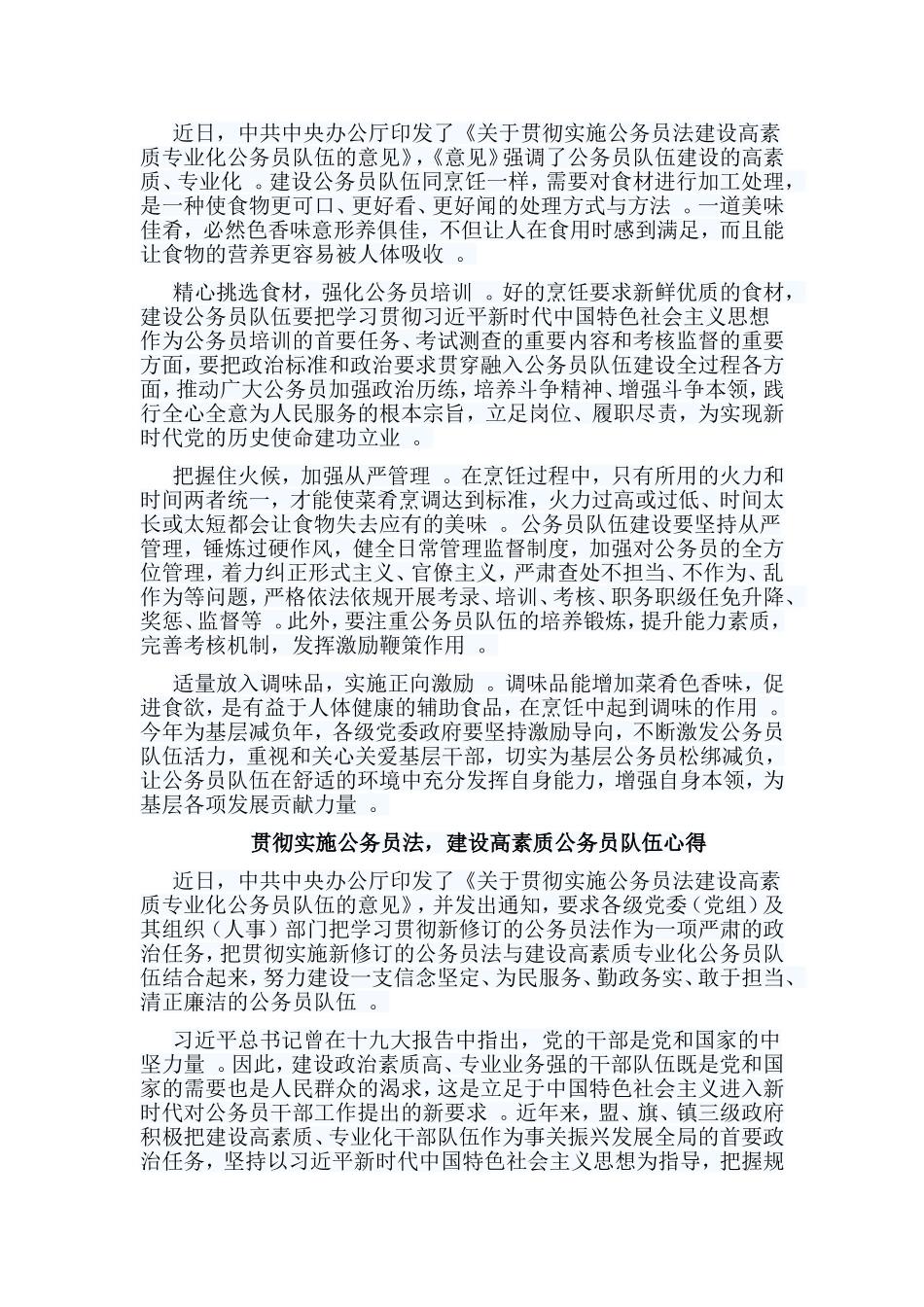 总结5篇贯彻实施公务员法建设高素质公务员队伍心得.doc_第2页