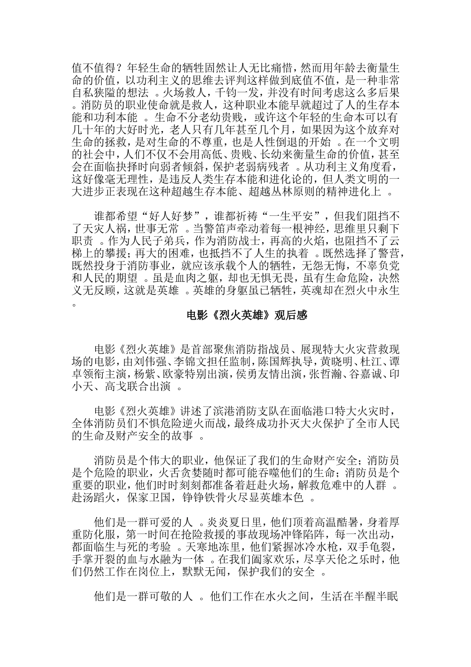 总结5篇电影烈火英雄观后感.doc_第3页