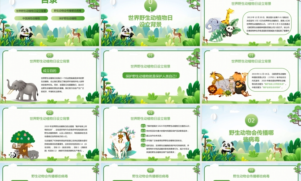 世界野生动植物日-保护野生动物我们在行动培训教育宣传PPT课件（带内容）.pptx