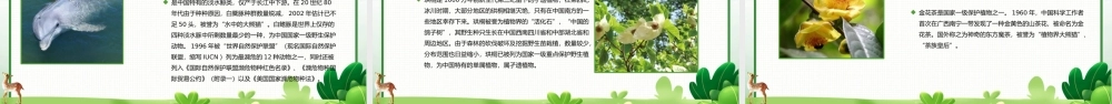 世界野生动植物日-保护野生动物我们在行动培训教育宣传PPT课件（带内容）.pptx