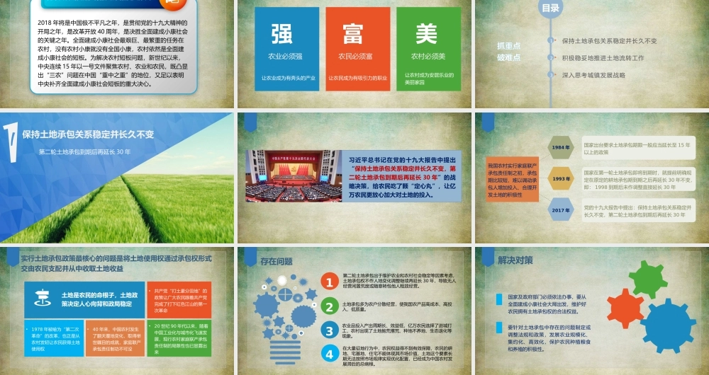 实施乡村振兴战略中的问题与对策党课培训PPT课件（带内容）.pptx