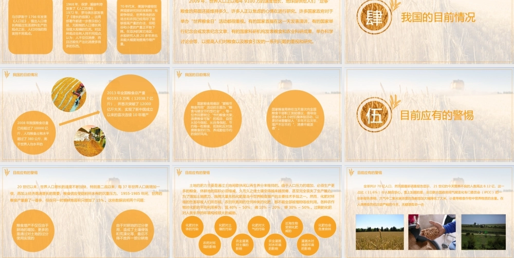 世界粮食日主题教育节约粮食杜绝舌尖上的浪费拒绝浪费培训PPT课件（带内容）.pptx