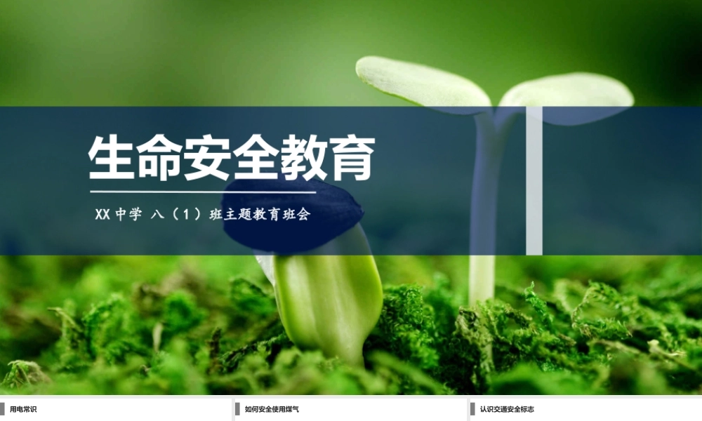 生命安全教育主题班会PPT课件（带内容）.pptx