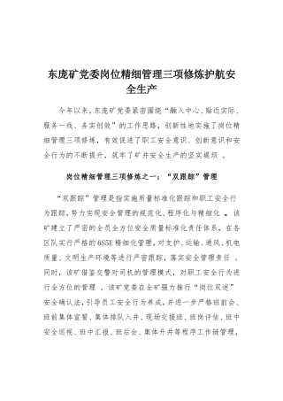 汇编69-矿党委岗位精细管理三项修炼护航安全生产.doc