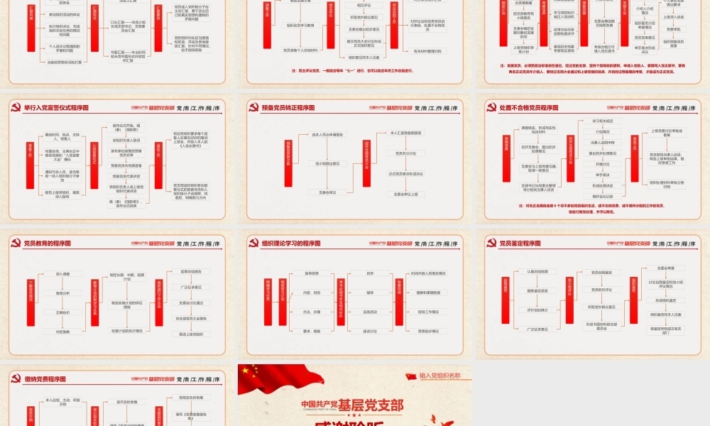 基层党支部党务工作程序党课PPT.pptx