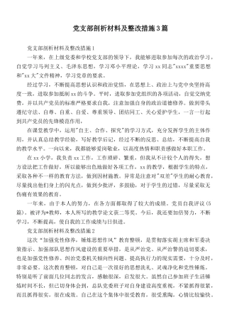 党支部剖析材料及整改措施3篇.docx