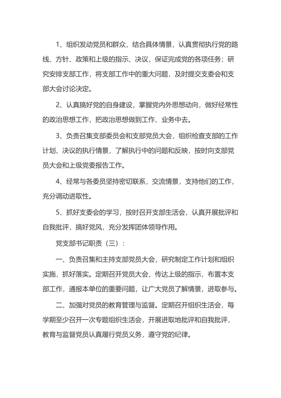 党支部书记职责(精选15份).docx_第2页