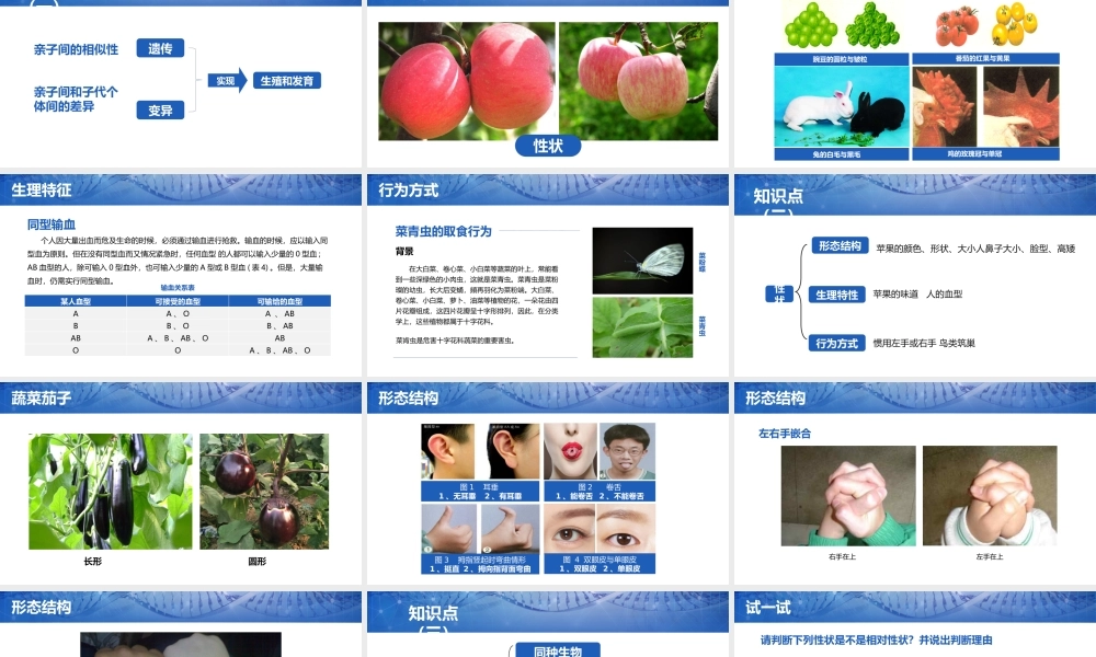 2021人教版生物八年级下册《基因控制生物的性状》PPT课件（带内容）.pptx