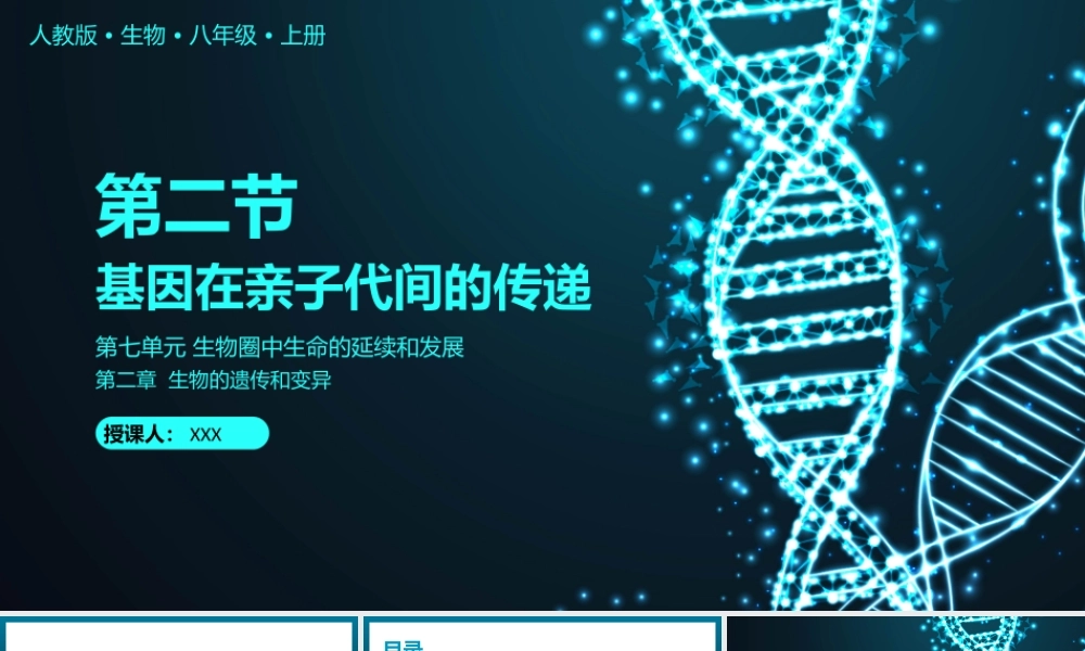 2021人教版生物八年级下册《基因在亲子代间的传递》PPT课件（带内容）.pptx