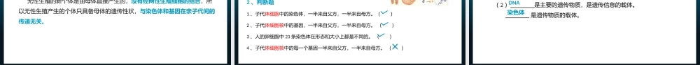 2021人教版生物八年级下册《基因在亲子代间的传递》PPT课件（带内容）.pptx