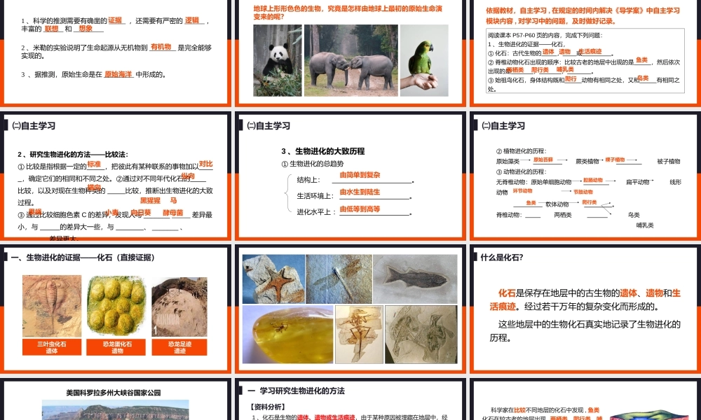 2021人教版生物八年级下册《生物进化的历程》PPT课件（带内容）.pptx