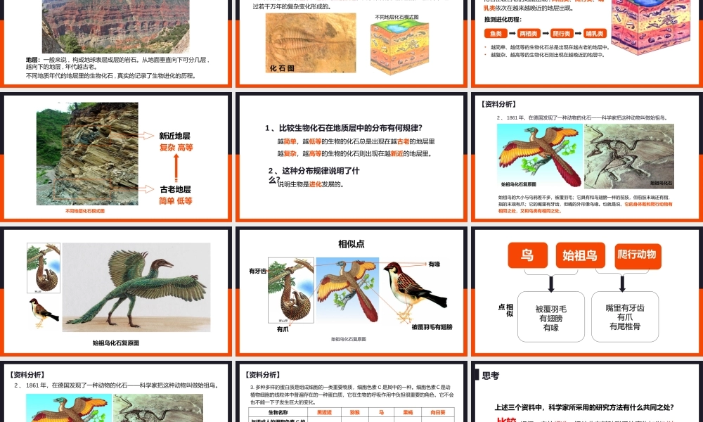 2021人教版生物八年级下册《生物进化的历程》PPT课件（带内容）.pptx
