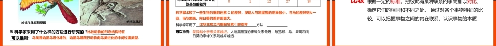 2021人教版生物八年级下册《生物进化的历程》PPT课件（带内容）.pptx