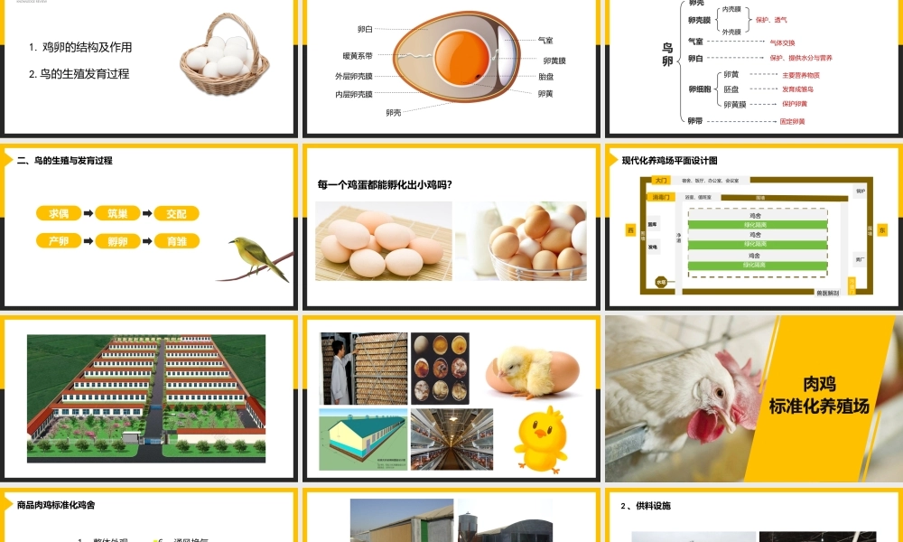 2021人教版生物八年级上册《生物圈中生命的延续和发展》PPT课件（带内容）.pptx