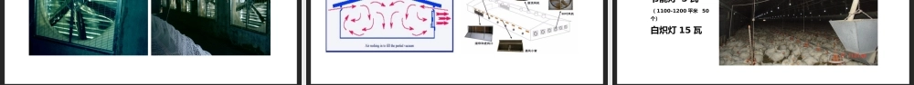 2021人教版生物八年级上册《生物圈中生命的延续和发展》PPT课件（带内容）.pptx