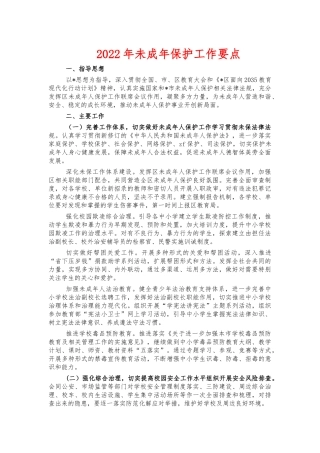 2022年未成年保护工作要点.docx