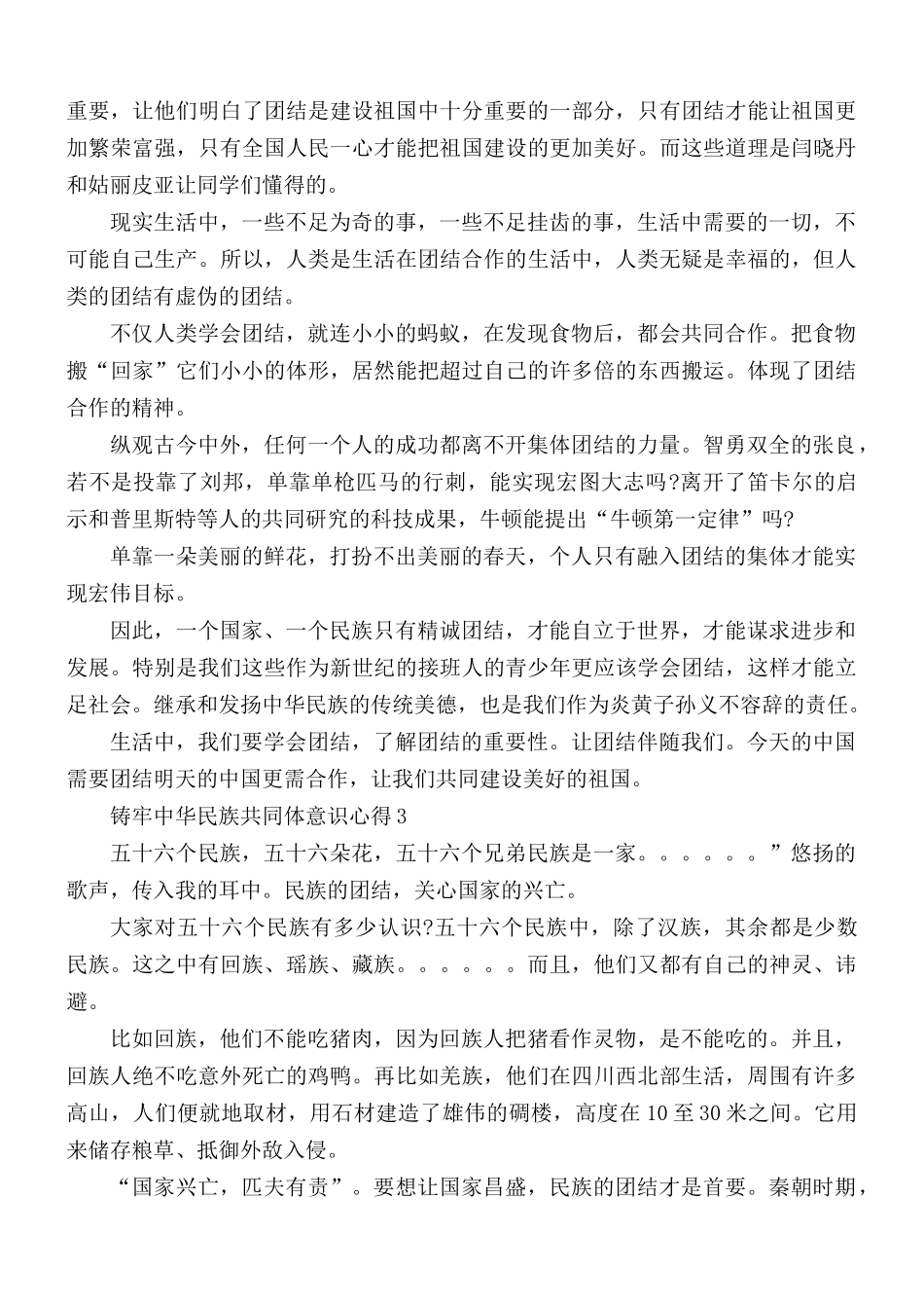 铸牢中华民族共同体意识心得感想5篇.docx_第3页