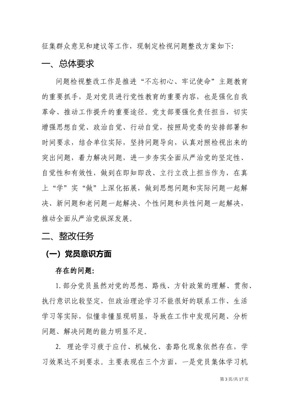 党支部检视问题整改方案.docx_第3页