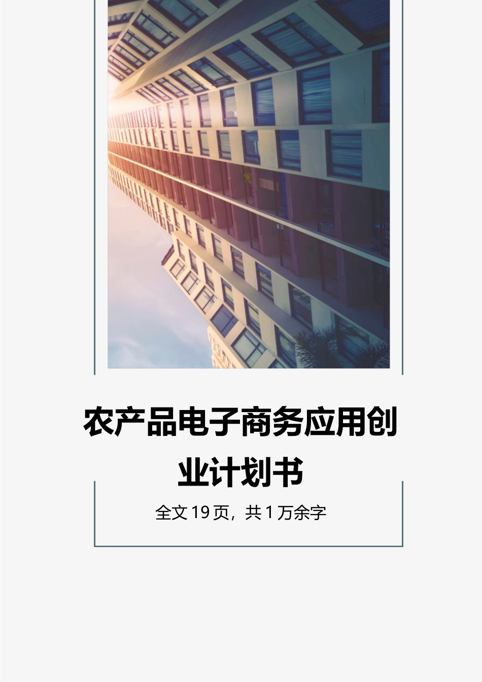 农产品电子商务应用创业计划书.docx_第1页