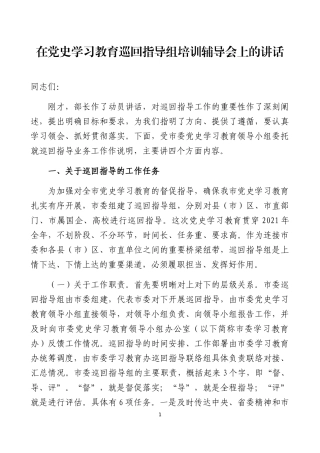 在党史学习教育巡回指导组培训辅导会上的讲话.docx