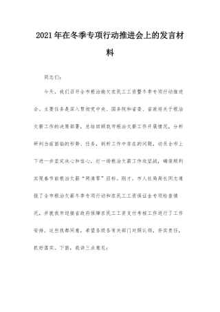 2021年在冬季专项行动推进会上的发言材料.docx