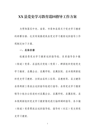 党史学习教育巡回指导工作方案两篇.docx