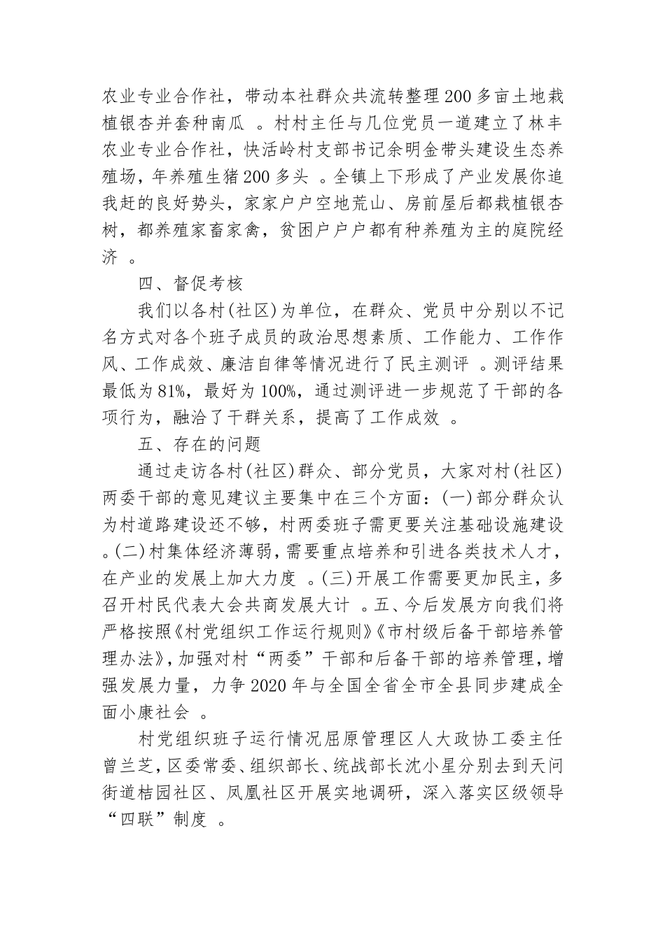 实用村党组织班子运行情况.doc_第2页
