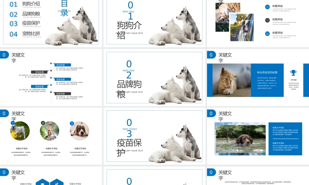 宠物公司狗狗品种介绍模板PPT模板下载.pptx
