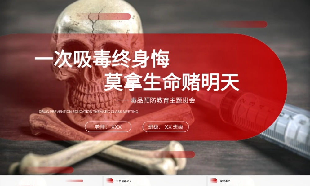 珍爱生命远离毒品禁毒宣传主题班会PPT课件（带内容）5.pptx