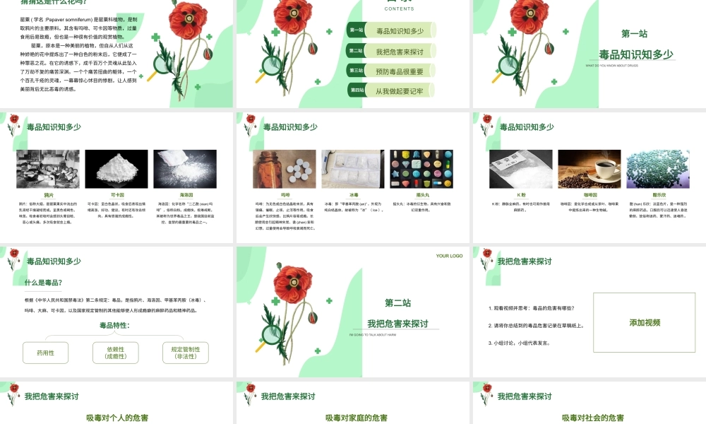 珍爱生命远离毒品禁毒宣传主题班会PPT课件（带内容）6.pptx