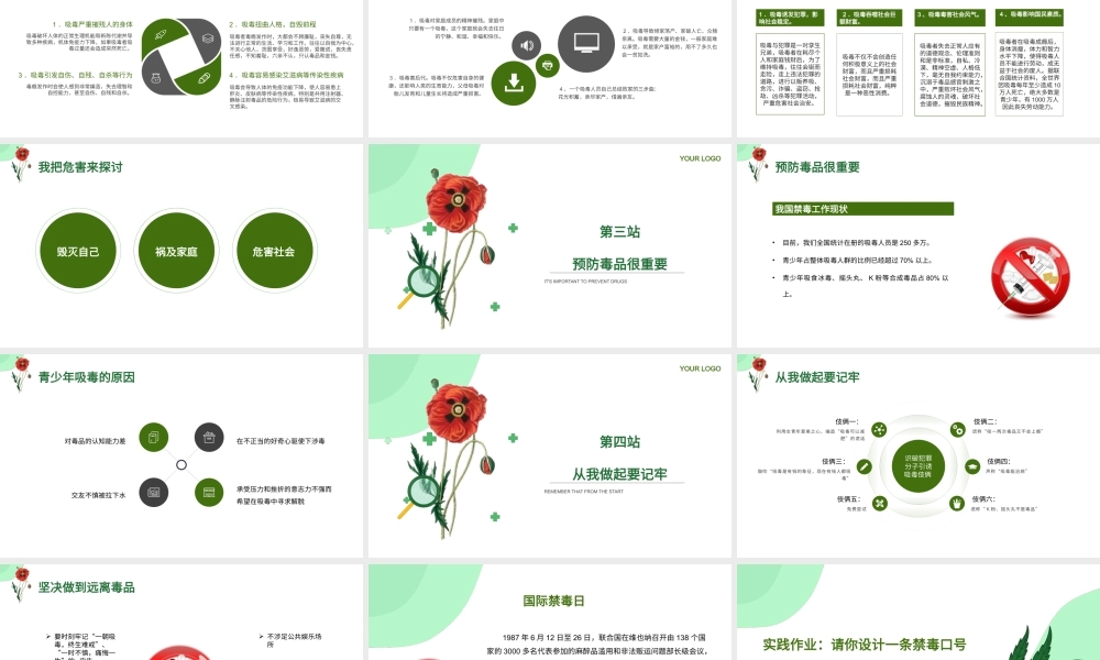 珍爱生命远离毒品禁毒宣传主题班会PPT课件（带内容）6.pptx