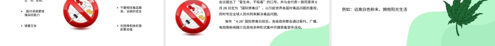 珍爱生命远离毒品禁毒宣传主题班会PPT课件（带内容）6.pptx