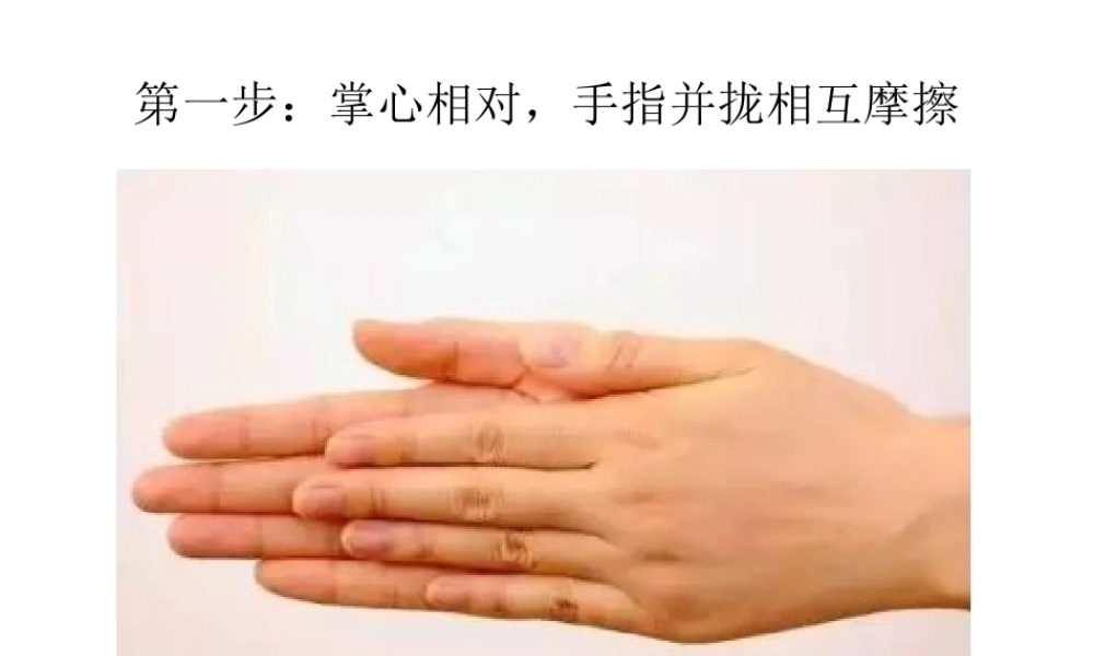 小班健康《小手小手快洗澡》微课件.pptx