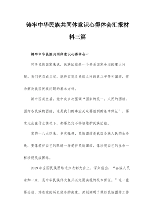 铸牢中华民族共同体意识心得体会汇报材料三篇.docx