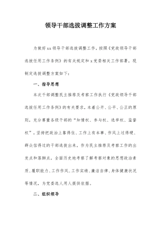 2021领导干部选拔调整工作方案.doc