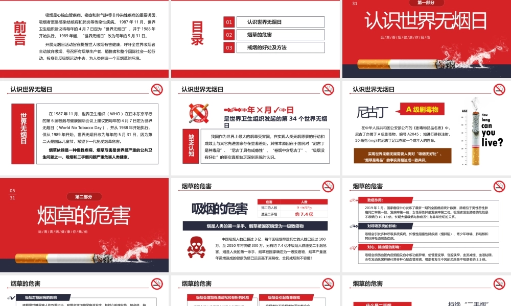 世界无烟日宣传教育PPT模板下载.pptx