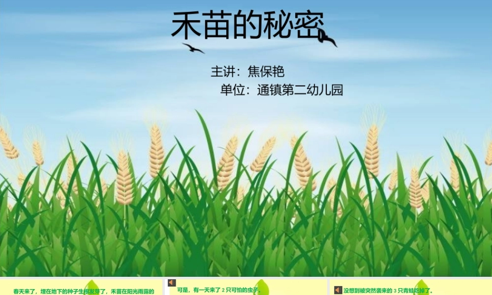 大班科学《禾苗的秘密》微课件.pptx