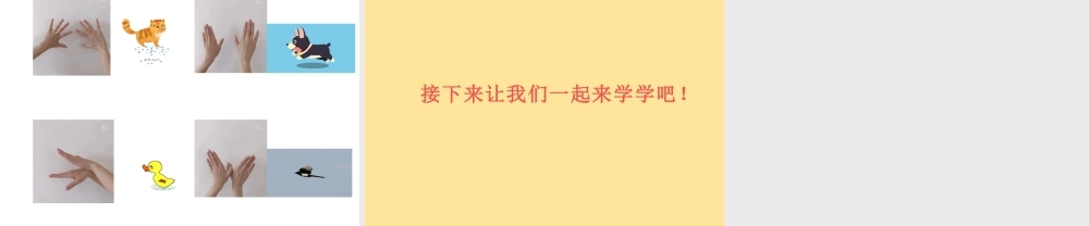 中班手指游戏《手影游戏》微课件.pptx