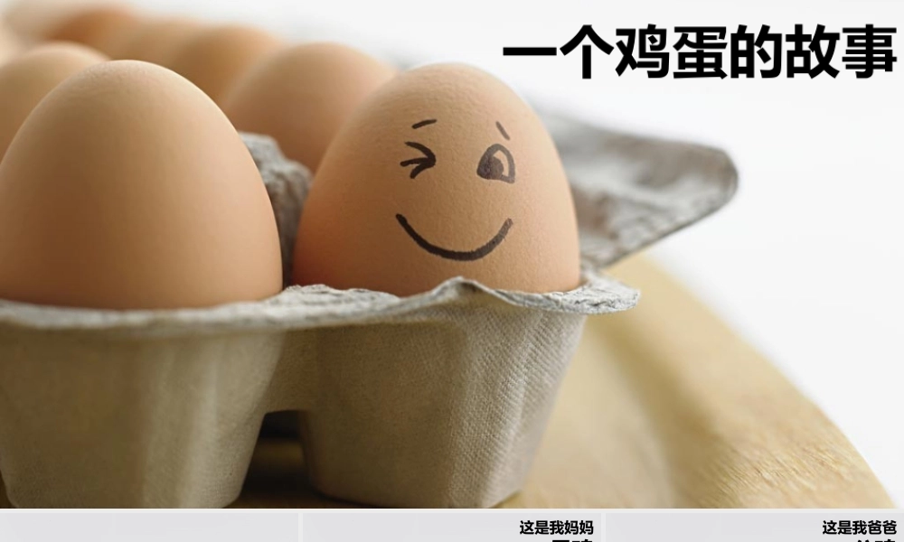 大班综合《一个鸡蛋的故事》微课件.pptx