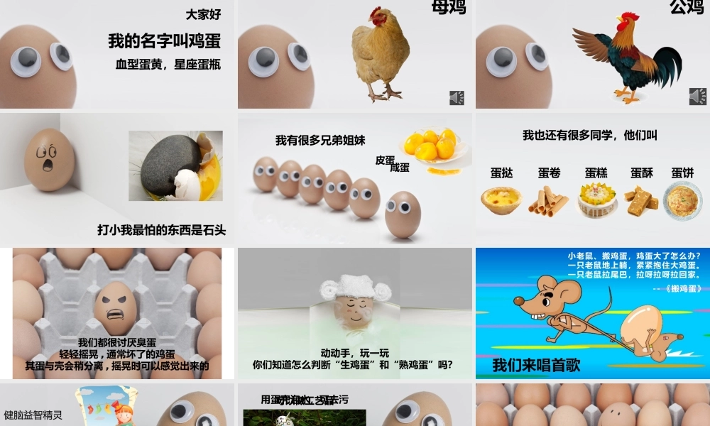 大班综合《一个鸡蛋的故事》微课件.pptx